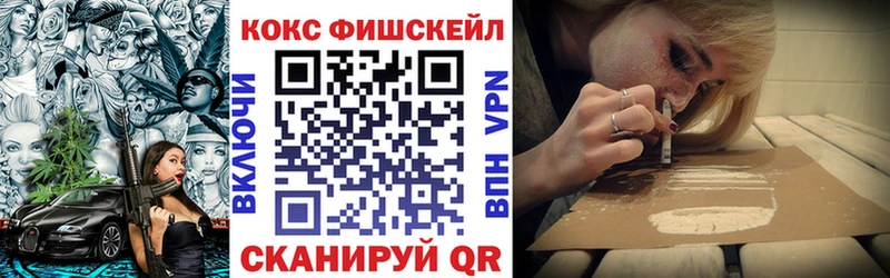 Кокаин Fish Scale  Купить закладки  Сясьстрой 
