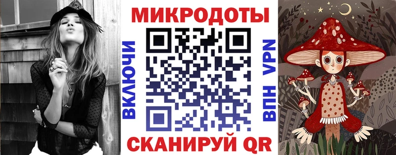 Купить закладки  Сясьстрой  Псилоцибиновые грибы Magic Shrooms 